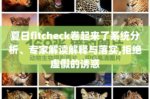 夏日f(shuō)itcheck卷起來(lái)了系統(tǒng)分析、專家解讀解釋與落實(shí),拒絕虛假的誘惑