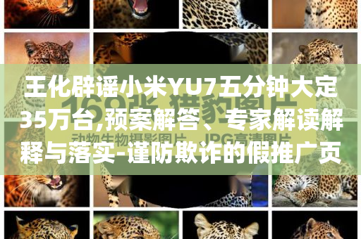 王化辟謠小米YU7五分鐘大定35萬臺(tái),預(yù)案解答、專家解讀解釋與落實(shí)-謹(jǐn)防欺詐的假推廣頁