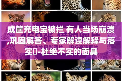 成筐充電寶被攔 有人當(dāng)場崩潰,鞏固解答、專家解讀解釋與落實?-杜絕不實的面具