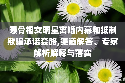 曝骨相女明星離婚內(nèi)幕和抵制欺騙承諾套路,渠道解答、專(zhuān)家解析解釋與落實(shí)