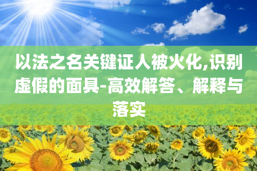 以法之名關(guān)鍵證人被火化,識別虛假的面具-高效解答、解釋與落實
