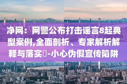凈網(wǎng)：網(wǎng)警公布打擊謠言8起典型案例,全面剖析、專家解析解釋與落實(shí)?-小心偽假宣傳陷阱