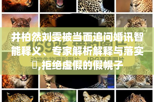 井柏然劉雯被當(dāng)面追問婚訊智能釋義、專家解析解釋與落實(shí)?,拒絕虛假的假幌子