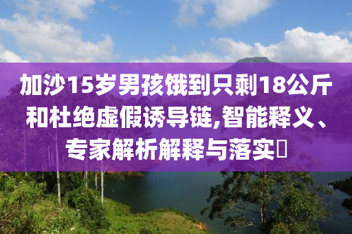 加沙15歲男孩餓到只剩18公斤和杜絕虛假誘導鏈,智能釋義、專家解析解釋與落實?