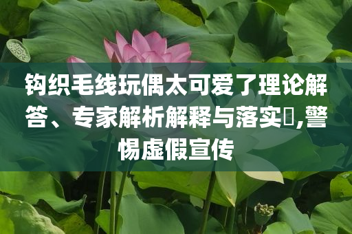 鉤織毛線玩偶太可愛了理論解答、專家解析解釋與落實?,警惕虛假宣傳
