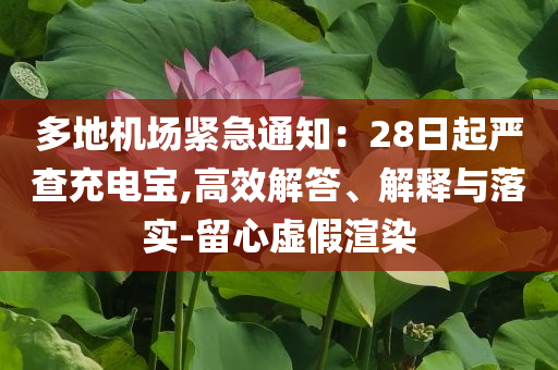 多地機場緊急通知：28日起嚴查充電寶,高效解答、解釋與落實-留心虛假渲染