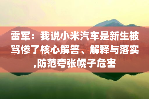 雷軍：我說小米汽車是新生被罵慘了核心解答、解釋與落實,防范夸張幌子危害