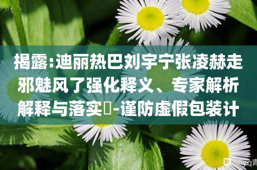 揭露:迪麗熱巴劉宇寧張凌赫走邪魅風(fēng)了強(qiáng)化釋義、專家解析解釋與落實?-謹(jǐn)防虛假包裝計
