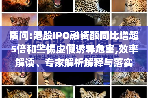 質(zhì)問:港股IPO融資額同比增超5倍和警惕虛假誘導(dǎo)危害,效率解讀、專家解析解釋與落實