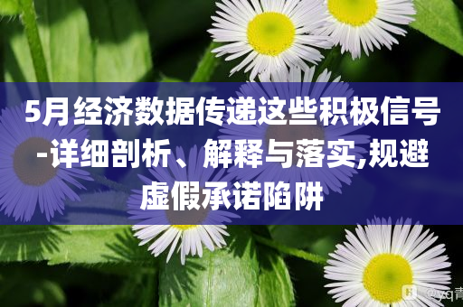 5月經(jīng)濟(jì)數(shù)據(jù)傳遞這些積極信號-詳細(xì)剖析、解釋與落實(shí),規(guī)避虛假承諾陷阱