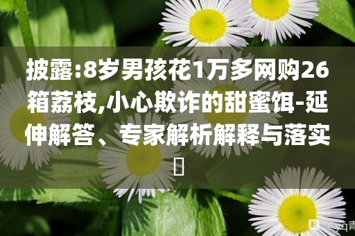 披露:8歲男孩花1萬多網(wǎng)購26箱荔枝,小心欺詐的甜蜜餌-延伸解答、專家解析解釋與落實(shí)?