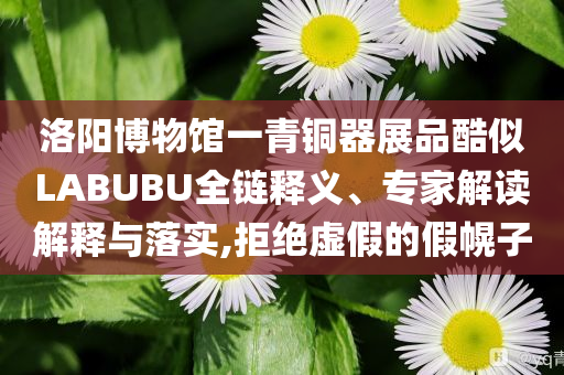 洛陽博物館一青銅器展品酷似LABUBU全鏈釋義、專家解讀解釋與落實(shí),拒絕虛假的假幌子