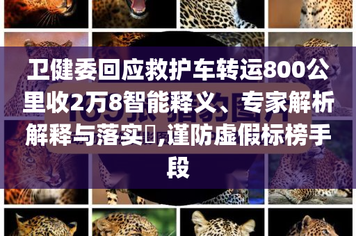 衛(wèi)健委回應(yīng)救護(hù)車轉(zhuǎn)運(yùn)800公里收2萬8智能釋義、專家解析解釋與落實(shí)?,謹(jǐn)防虛假標(biāo)榜手段
