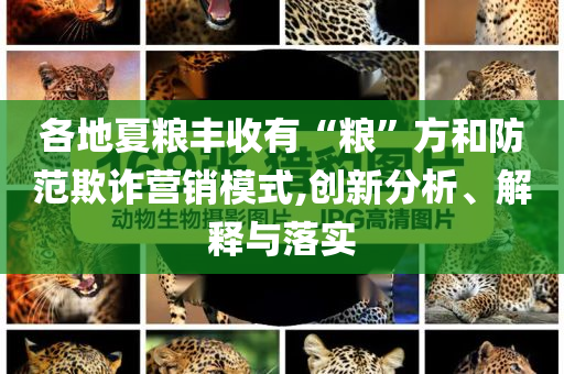 各地夏糧豐收有“糧”方和防范欺詐營(yíng)銷模式,創(chuàng)新分析、解釋與落實(shí)