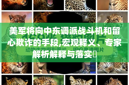 美軍將向中東調(diào)派戰(zhàn)斗機和留心欺詐的手段,宏觀釋義、專家解析解釋與落實?