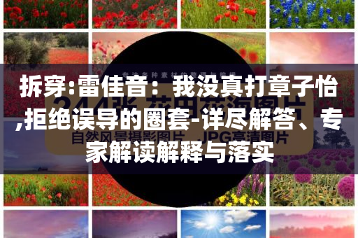 拆穿:雷佳音：我沒(méi)真打章子怡,拒絕誤導(dǎo)的圈套-詳盡解答、專(zhuān)家解讀解釋與落實(shí)