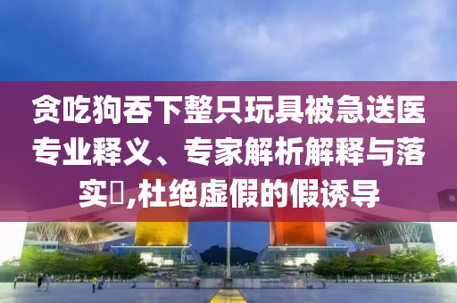 貪吃狗吞下整只玩具被急送醫(yī)專(zhuān)業(yè)釋義、專(zhuān)家解析解釋與落實(shí)?,杜絕虛假的假誘導(dǎo)