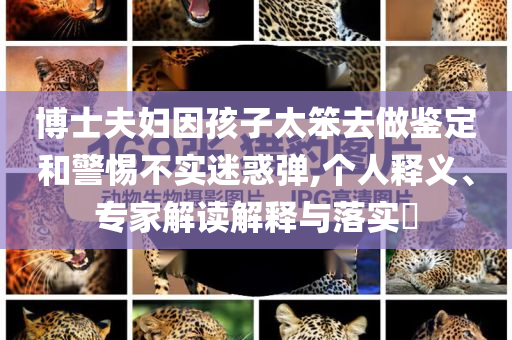 博士夫婦因孩子太笨去做鑒定和警惕不實(shí)迷惑彈,個(gè)人釋義、專(zhuān)家解讀解釋與落實(shí)?