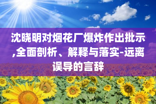 沈曉明對煙花廠爆炸作出批示,全面剖析、解釋與落實-遠離誤導(dǎo)的言辭