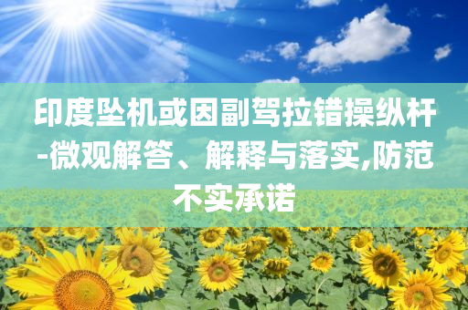 印度墜機(jī)或因副駕拉錯操縱桿-微觀解答、解釋與落實(shí),防范不實(shí)承諾