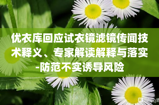 優(yōu)衣庫回應(yīng)試衣鏡濾鏡傳聞技術(shù)釋義、專家解讀解釋與落實-防范不實誘導(dǎo)風(fēng)險