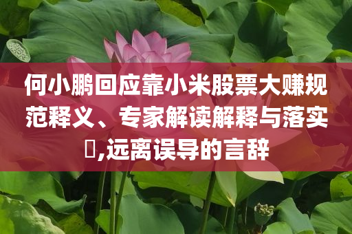 何小鵬回應(yīng)靠小米股票大賺規(guī)范釋義、專家解讀解釋與落實?,遠(yuǎn)離誤導(dǎo)的言辭