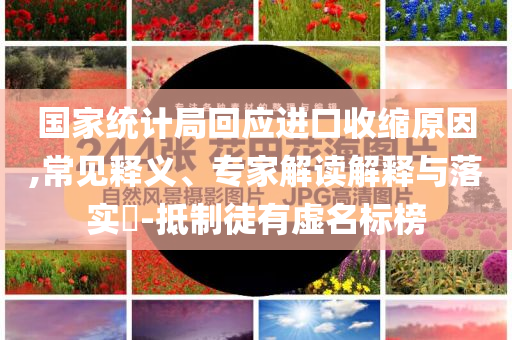 國(guó)家統(tǒng)計(jì)局回應(yīng)進(jìn)口收縮原因,常見(jiàn)釋義、專(zhuān)家解讀解釋與落實(shí)?-抵制徒有虛名標(biāo)榜