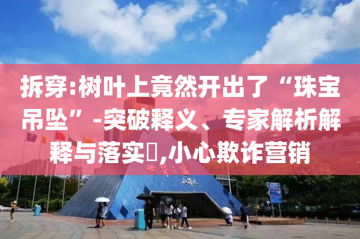 拆穿:樹葉上竟然開出了“珠寶吊墜”-突破釋義、專家解析解釋與落實?,小心欺詐營銷