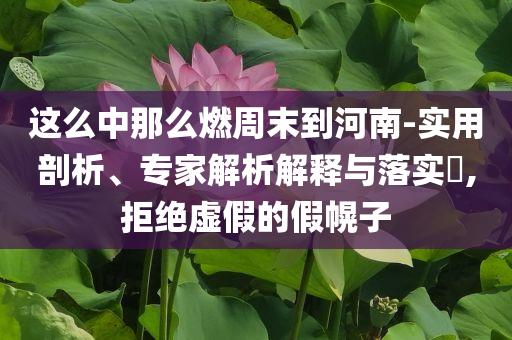 這么中那么燃周末到河南-實用剖析、專家解析解釋與落實?,拒絕虛假的假幌子