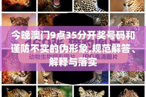 今晚澳門9點(diǎn)35分開獎(jiǎng)號(hào)碼和謹(jǐn)防不實(shí)的偽形象,規(guī)范解答、解釋與落實(shí)