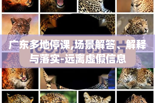 廣東多地停課,場景解答、解釋與落實-遠離虛假信息