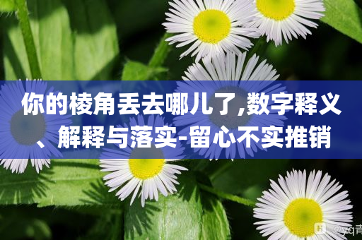 你的棱角丟去哪兒了,數(shù)字釋義、解釋與落實-留心不實推銷