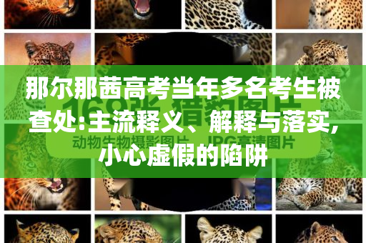 那爾那茜高考當(dāng)年多名考生被查處:主流釋義、解釋與落實(shí),小心虛假的陷阱