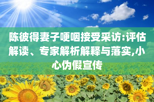 陳彼得妻子哽咽接受采訪:評估解讀、專家解析解釋與落實(shí),小心偽假宣傳