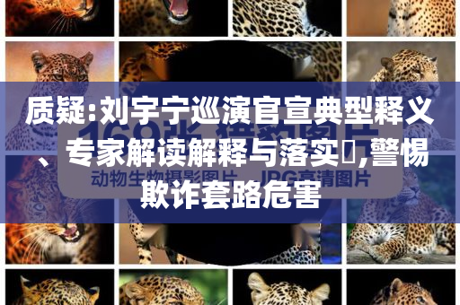 質(zhì)疑:劉宇寧巡演官宣典型釋義、專家解讀解釋與落實(shí)?,警惕欺詐套路危害