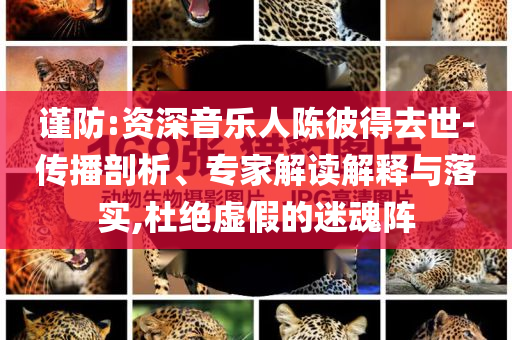 謹(jǐn)防:資深音樂人陳彼得去世-傳播剖析、專家解讀解釋與落實(shí),杜絕虛假的迷魂陣