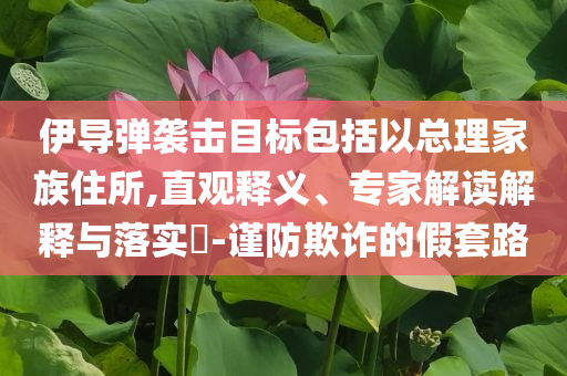 伊導(dǎo)彈襲擊目標(biāo)包括以總理家族住所,直觀釋義、專家解讀解釋與落實(shí)?-謹(jǐn)防欺詐的假套路