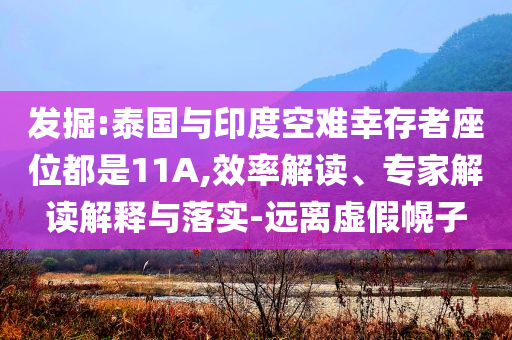 發(fā)掘:泰國(guó)與印度空難幸存者座位都是11A,效率解讀、專家解讀解釋與落實(shí)-遠(yuǎn)離虛假幌子