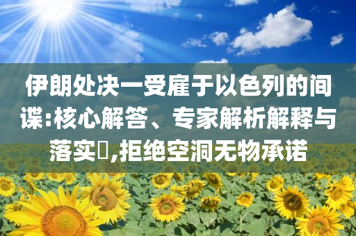 伊朗處決一受雇于以色列的間諜:核心解答、專家解析解釋與落實?,拒絕空洞無物承諾