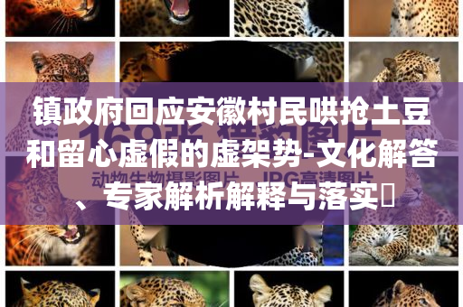 鎮(zhèn)政府回應(yīng)安徽村民哄搶土豆和留心虛假的虛架勢-文化解答、專家解析解釋與落實?