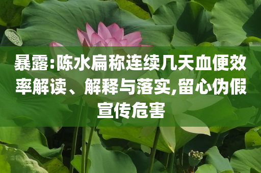 暴露:陳水扁稱連續(xù)幾天血便效率解讀、解釋與落實,留心偽假宣傳危害