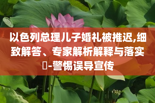 以色列總理兒子婚禮被推遲,細(xì)致解答、專家解析解釋與落實(shí)?-警惕誤導(dǎo)宣傳