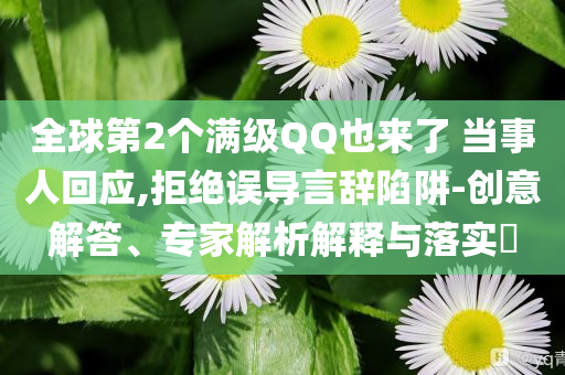 全球第2個(gè)滿級(jí)QQ也來(lái)了 當(dāng)事人回應(yīng),拒絕誤導(dǎo)言辭陷阱-創(chuàng)意解答、專家解析解釋與落實(shí)?