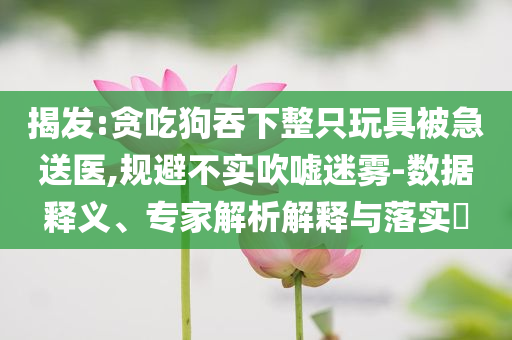 揭發(fā):貪吃狗吞下整只玩具被急送醫(yī),規(guī)避不實(shí)吹噓迷霧-數(shù)據(jù)釋義、專家解析解釋與落實(shí)?