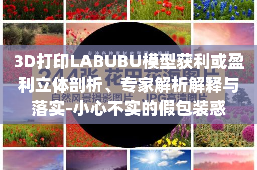 3D打印LABUBU模型獲利或盈利立體剖析、專家解析解釋與落實-小心不實的假包裝惑