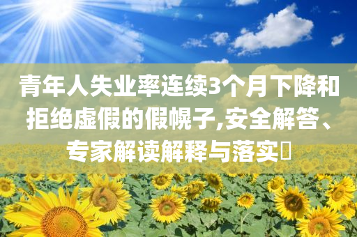 青年人失業(yè)率連續(xù)3個月下降和拒絕虛假的假幌子,安全解答、專家解讀解釋與落實?