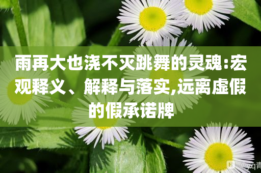 雨再大也澆不滅跳舞的靈魂:宏觀釋義、解釋與落實,遠離虛假的假承諾牌
