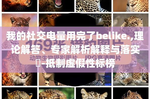 我的社交電量用完了belike.,理論解答、專家解析解釋與落實?-抵制虛假性標榜