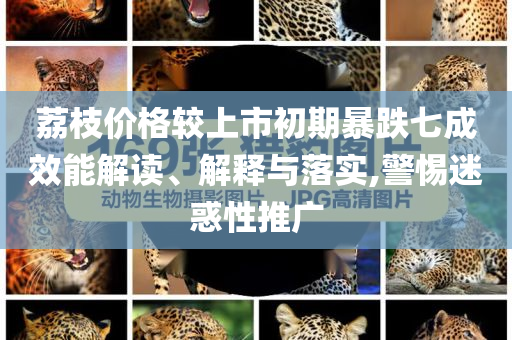 荔枝價(jià)格較上市初期暴跌七成效能解讀、解釋與落實(shí),警惕迷惑性推廣