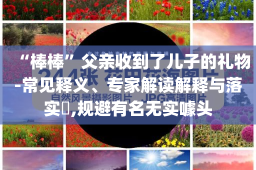 “棒棒”父親收到了兒子的禮物-常見釋義、專家解讀解釋與落實?,規(guī)避有名無實噱頭